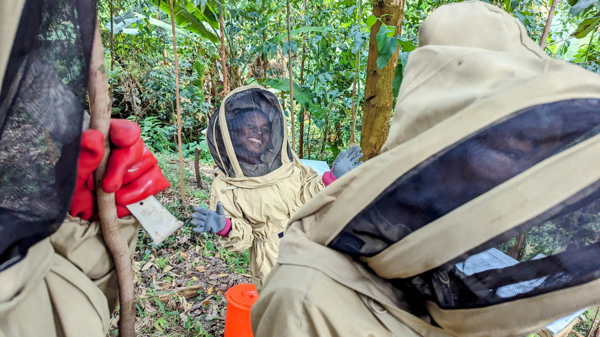 Celebrating World Bee Day: The Vital Role of Bees, Beekeeping & Beeswax in Sustainable Skincare