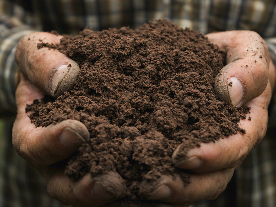 How Do You Get Ingrained Dirt Off Your Skin?