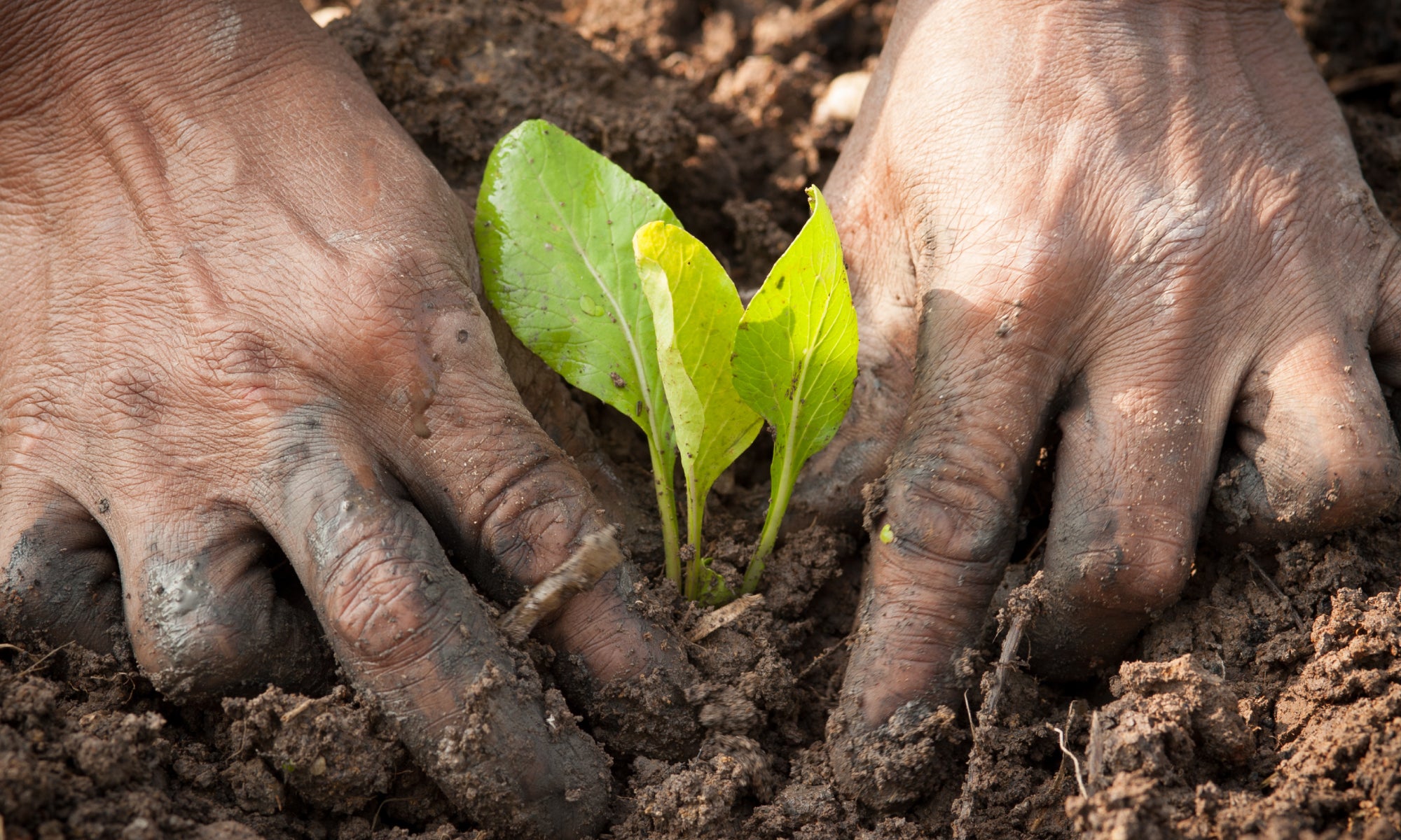 Why Does Dirt Dry Out Your Hands?