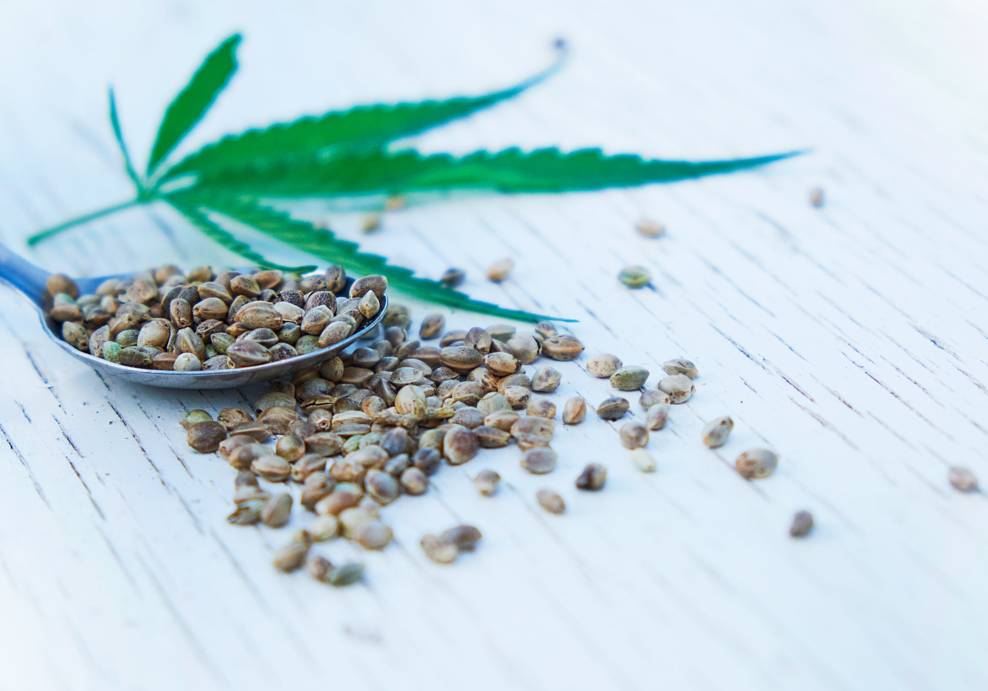 What's The Difference Between Hemp Seed Oil And CBD?