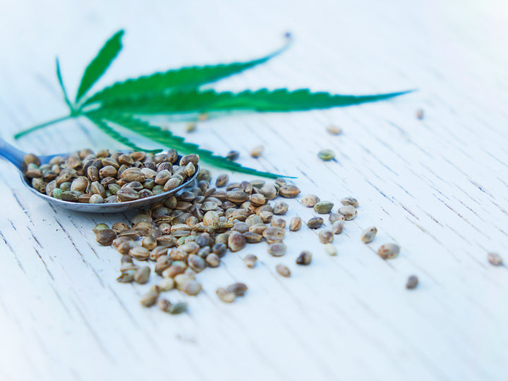 What's The Difference Between Hemp Seed Oil And CBD?